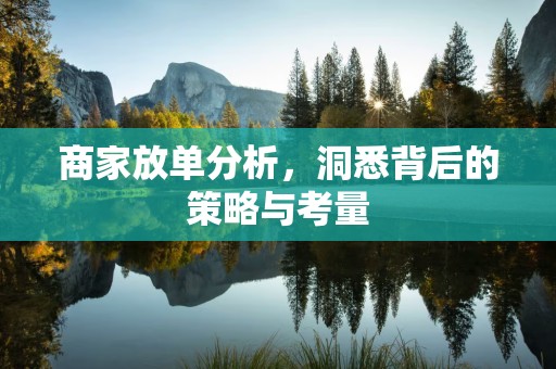 商家放单分析，洞悉背后的策略与考量