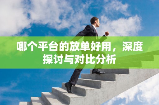 哪个平台的放单好用，深度探讨与对比分析