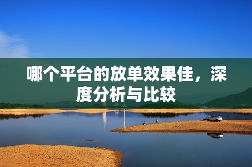 哪个平台的放单效果佳，深度分析与比较