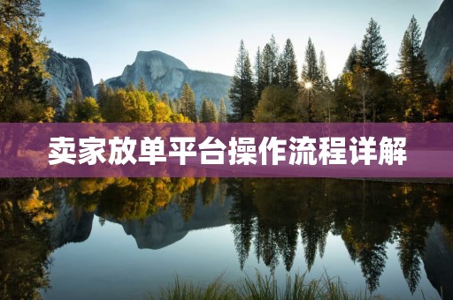 卖家放单平台操作流程详解