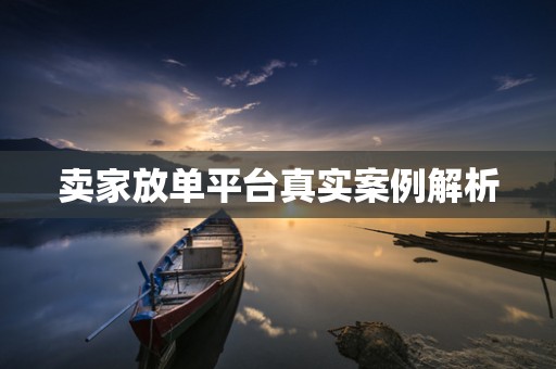 卖家放单平台真实案例解析