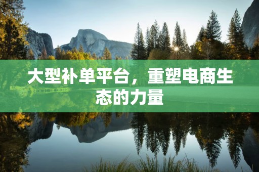 大型补单平台，重塑电商生态的力量