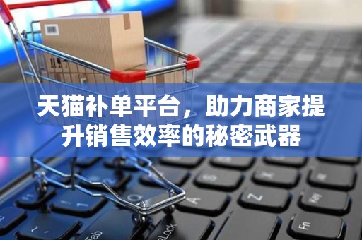 天猫补单平台，助力商家提升销售效率的秘密武器
