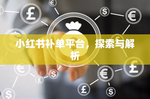 小红书补单平台，探索与解析