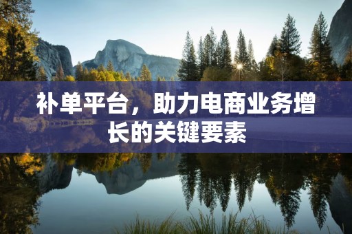 补单平台，助力电商业务增长的关键要素