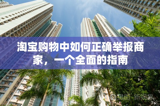 淘宝购物中如何正确举报商家，一个全面的指南