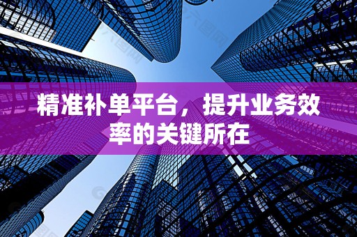 精准补单平台，提升业务效率的关键所在