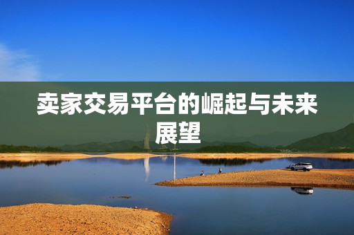 卖家交易平台的崛起与未来展望