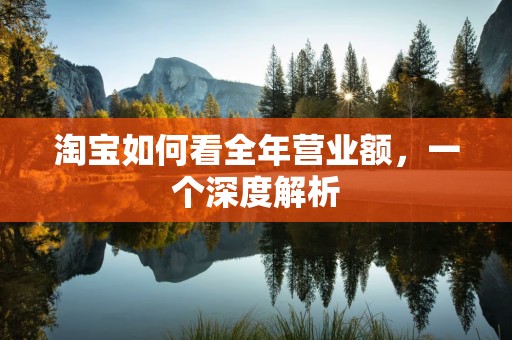 淘宝如何看全年营业额，一个深度解析