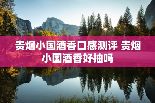 贵烟小国酒香口感测评 贵烟小国酒香好抽吗