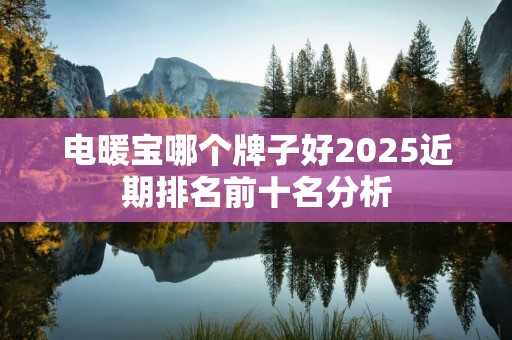 电暖宝哪个牌子好2025近期排名前十名分析