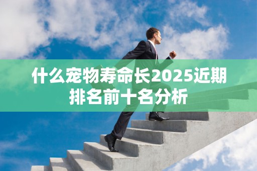 什么宠物寿命长2025近期排名前十名分析