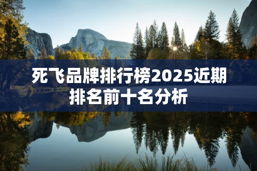 死飞品牌排行榜2025近期排名前十名分析