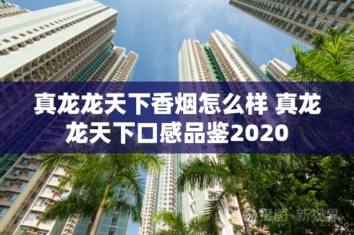 真龙龙天下香烟怎么样 真龙龙天下口感品鉴2020