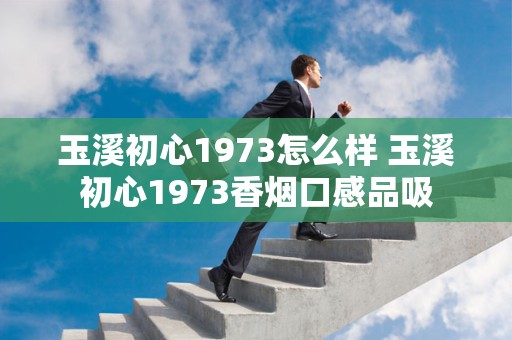 玉溪初心1973怎么样 玉溪初心1973香烟口感品吸