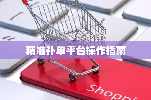 精准补单平台操作指南