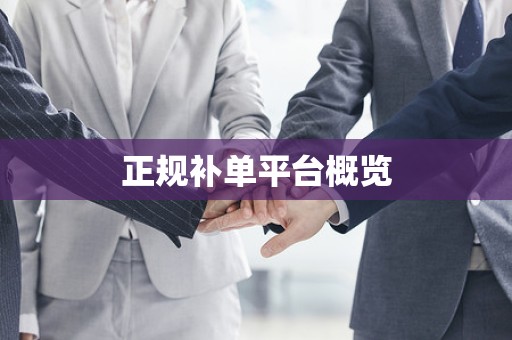 正规补单平台概览