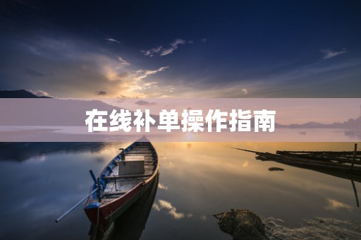 在线补单操作指南