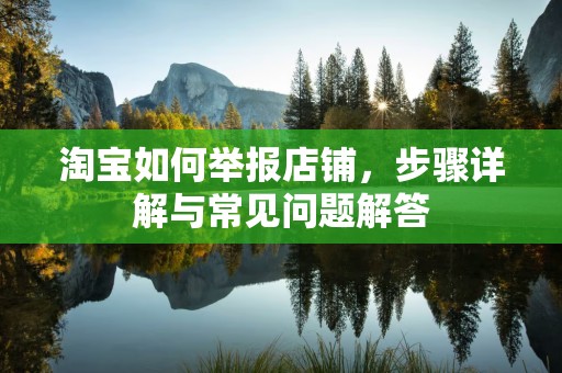 淘宝如何举报店铺，步骤详解与常见问题解答