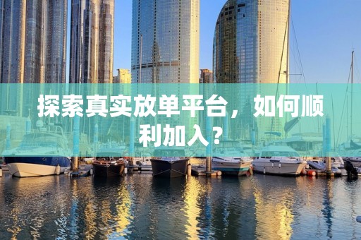 探索真实放单平台，如何顺利加入？