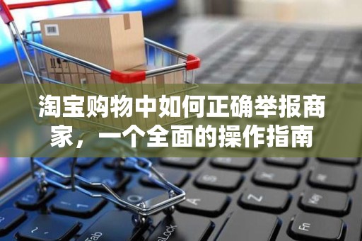 淘宝购物中如何正确举报商家，一个全面的操作指南