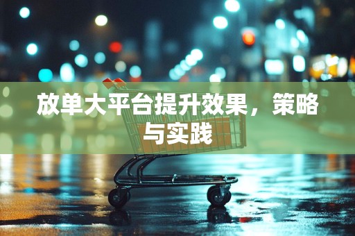 放单大平台提升效果，策略与实践