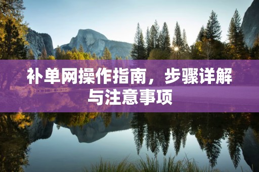 补单网操作指南，步骤详解与注意事项