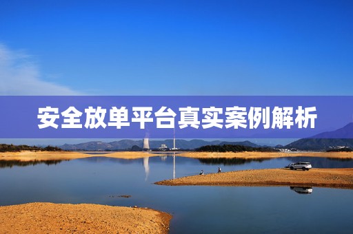 安全放单平台真实案例解析