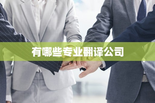 有哪些专业翻译公司