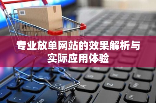 专业放单网站的效果解析与实际应用体验
