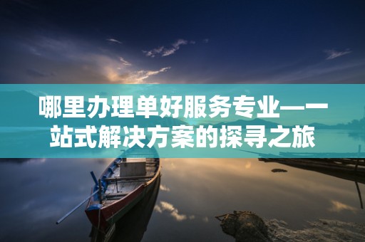 哪里办理单好服务专业—一站式解决方案的探寻之旅