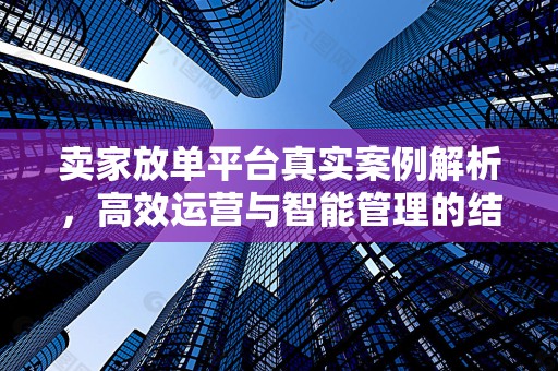 卖家放单平台真实案例解析，高效运营与智能管理的结合