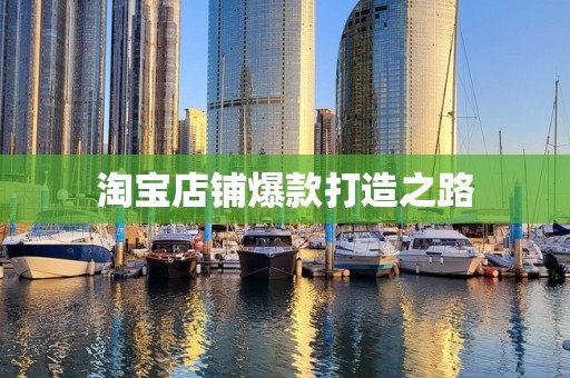 淘宝店铺爆款打造之路