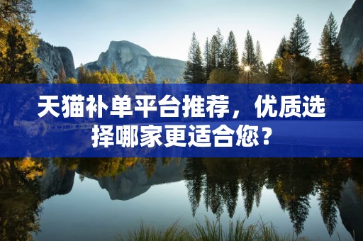 天猫补单平台推荐，优质选择哪家更适合您？