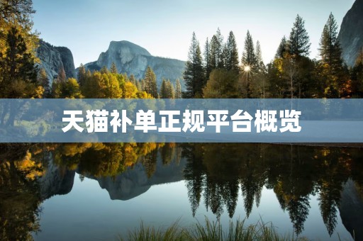 天猫补单正规平台概览