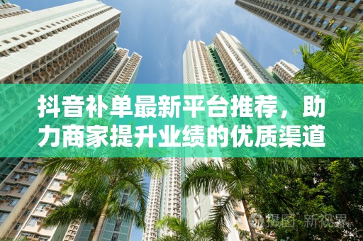 抖音补单最新平台推荐，助力商家提升业绩的优质渠道