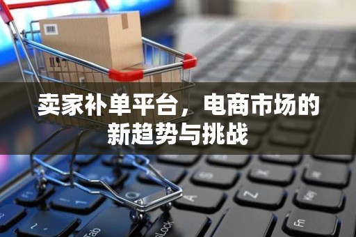 卖家补单平台，电商市场的新趋势与挑战