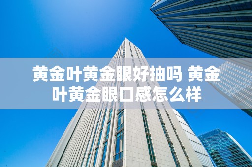 黄金叶黄金眼好抽吗 黄金叶黄金眼口感怎么样