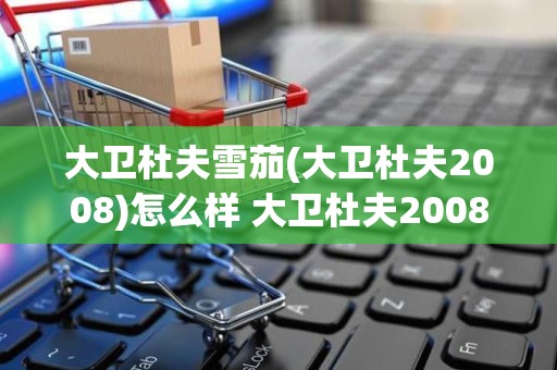 大卫杜夫雪茄(大卫杜夫2008)怎么样 大卫杜夫2008北京奥运会纪念版鉴赏