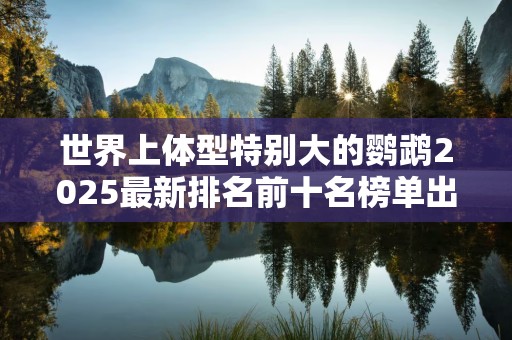 世界上体型特别大的鹦鹉2025最新排名前十名榜单出炉