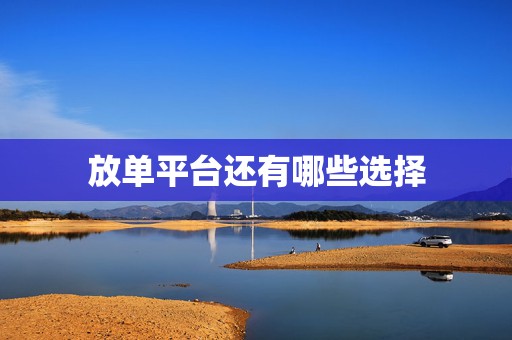 放单平台还有哪些选择
