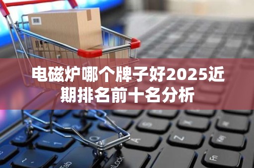 电磁炉哪个牌子好2025近期排名前十名分析