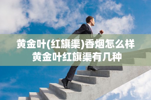 黄金叶(红旗渠)香烟怎么样 黄金叶红旗渠有几种