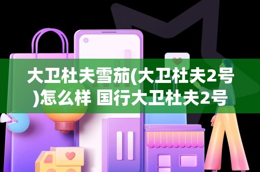 大卫杜夫雪茄(大卫杜夫2号)怎么样 国行大卫杜夫2号鉴赏