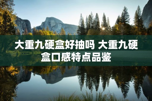 大重九硬盒好抽吗 大重九硬盒口感特点品鉴