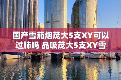 国产雪茄烟茂大5支XY可以过肺吗 品吸茂大5支XY雪茄