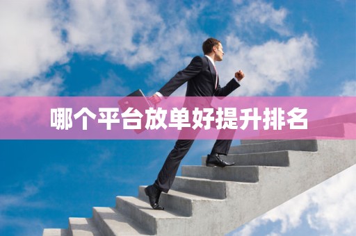 哪个平台放单好提升排名