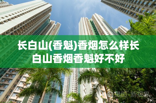 长白山(香魁)香烟怎么样长白山香烟香魁好不好