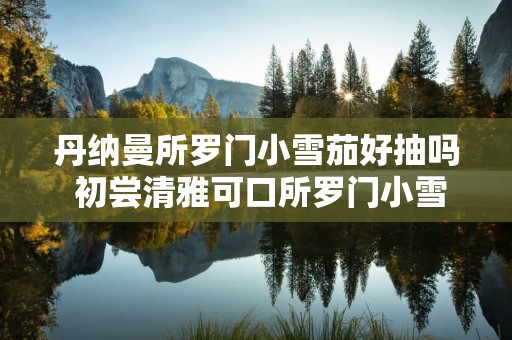 丹纳曼所罗门小雪茄好抽吗 初尝清雅可口所罗门小雪茄