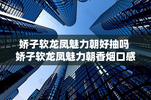 娇子软龙凤魅力朝好抽吗 娇子软龙凤魅力朝香烟口感品鉴